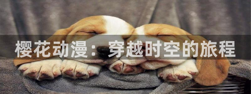 78动漫免费观看
